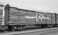 rxo